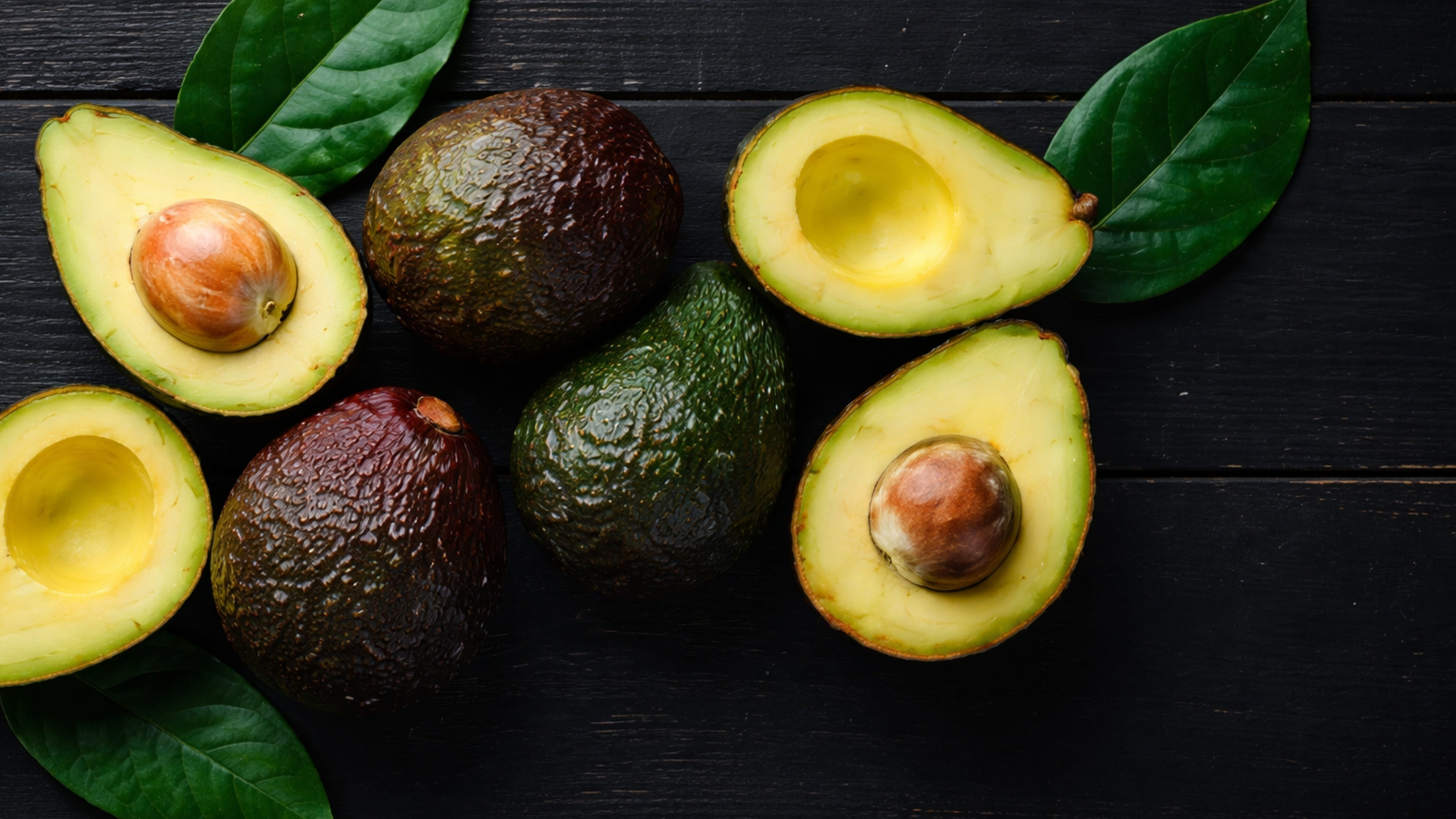 Avocado harvest export